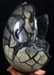 Septarian Dragon Egg Geode - Crystal Filled #37367-4